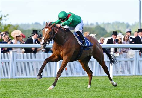 king edward vii stakes trends|King Edward VII Stakes 2024 .